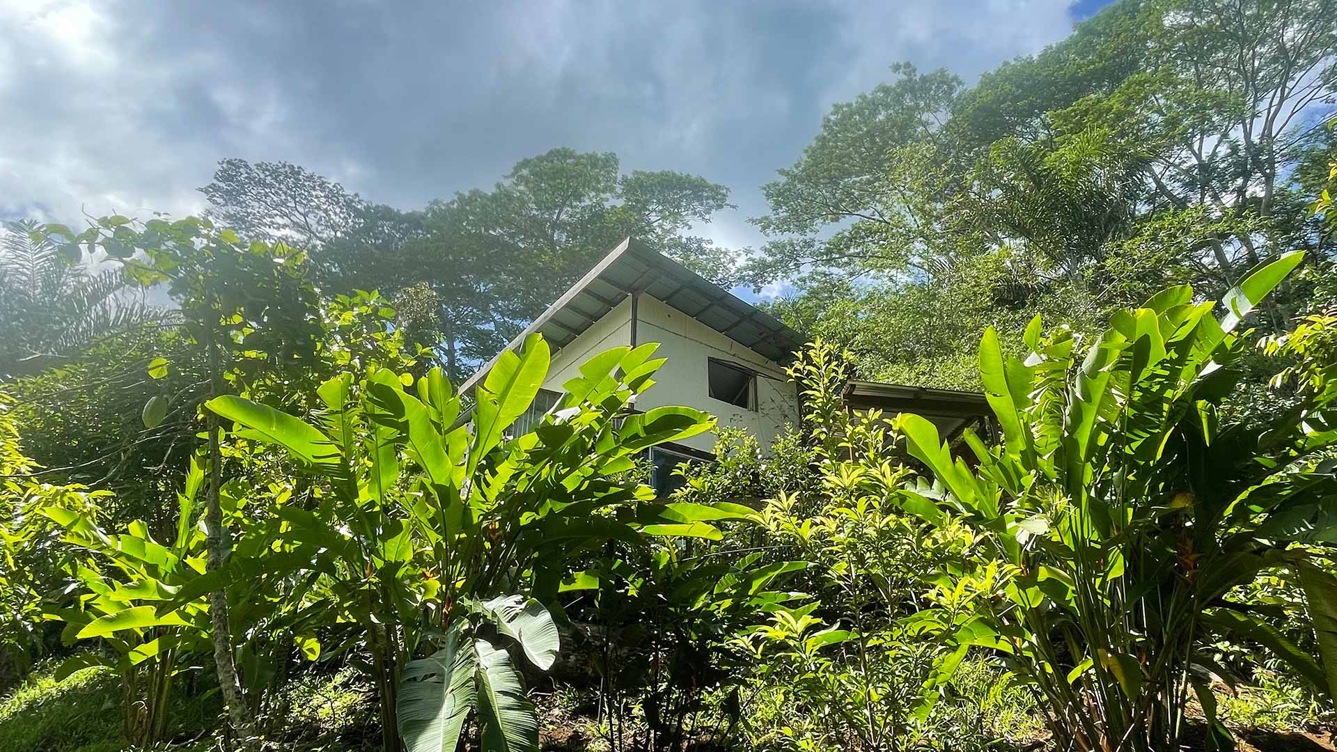 Moorea Maori Lodge hebergement nature