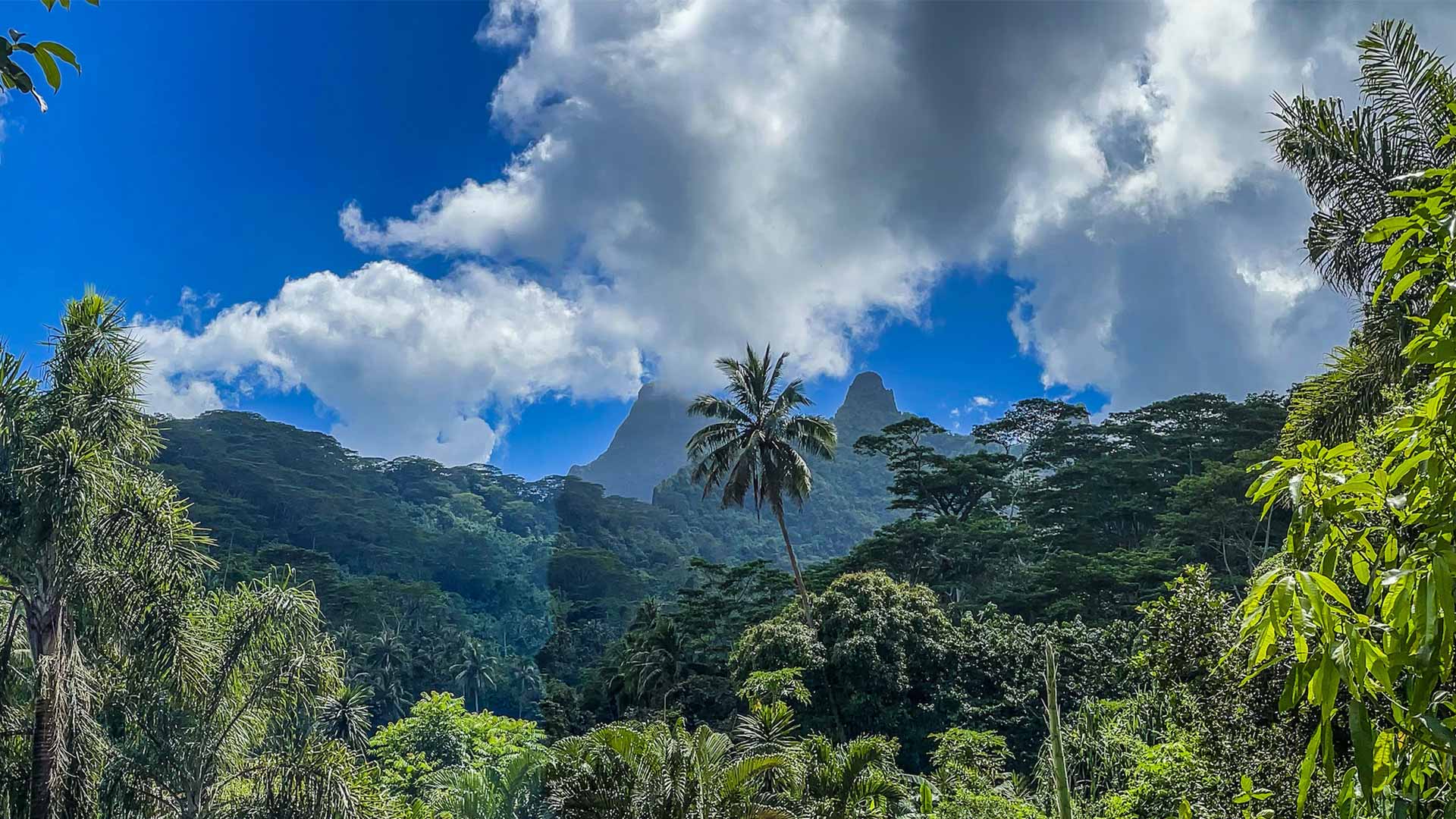 moorea-maori-lodge-chambre